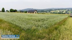 Działka budowlana Siemiechów - gm. Gromnik ! - Obrazek 2