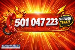 501047223 zarejestrowane karty sim i esim - Obrazek 1