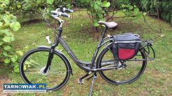 Rower sparta - Obrazek 2