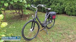 Rower sparta - Obrazek 4