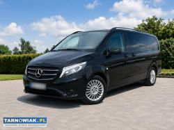 Reprezentacyjny bus dostawczy z kierowcą — B2B - Obrazek 2