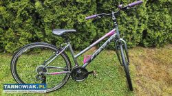 Rower 28 Kands STV100 Crossowy alu rama 17 cali - Obrazek 1