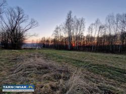 Działka budowlana/inwestycyjna 30ar Skrzyszów - Obrazek 1