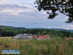 Działka budowlana/inwestycyjna 30ar Skrzyszów - Obrazek 2