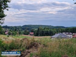 Działka budowlana/inwestycyjna 30ar Skrzyszów - Obrazek 3