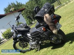Yamaha Virago 535 - Obrazek 2