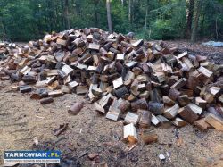 sprzedam Drewno na opał - Obrazek 1