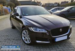 Jaguar xf 2017 - Obrazek 1