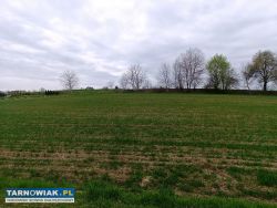 Działka 17 arów - Obrazek 1