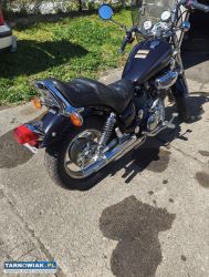 Yamaha Virago 1100 - Obrazek 2