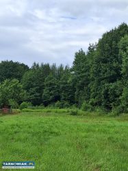 Działka  rolno-budowlana w Pogórskiej Woli - Obrazek 3