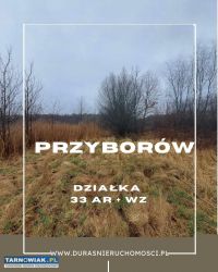 Przyborów działka 33 ar - Obrazek 1