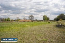 Sprzedam 2 bardzo ładne działki 1km od Tarnowa! - Obrazek 2