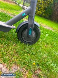 Motus sooty 10 lite - Obrazek 3