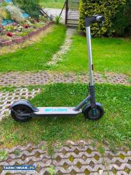Motus sooty 10 lite - Obrazek 1