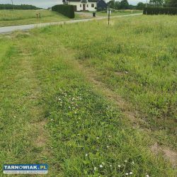 Piękna działka 18,7 ara - Szynwałd - Obrazek 3