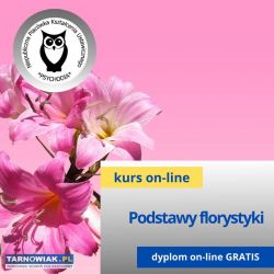 Poczucie własnej wartości u dzieci kurs - Obrazek 1