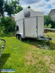 Przyczepa do przewozu koni - Obrazek 4