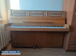 Polują do wynajęcia lab szukam współlokatorkę - Obrazek 1