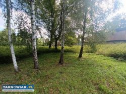 Działka z budynkami – 41 arów, Skrzyszów - Obrazek 4