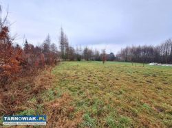 Zaborów - 44 ary, działka pod zabudowę i usługi. - Obrazek 1