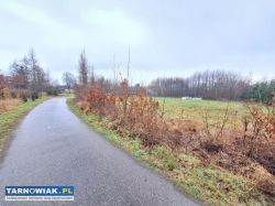 Zaborów - 44 ary, działka pod zabudowę i usługi. - Obrazek 3