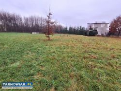 Zaborów - 44 ary, działka pod zabudowę i usługi. - Obrazek 4