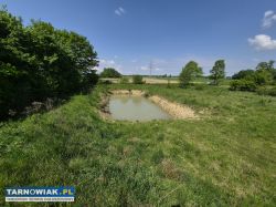 Dom z dużą działką i stawem – Strzelce Wielkie - Obrazek 4