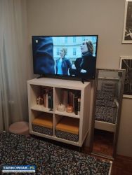 Szafka, regał na książki, pod telewizor Ikea - Obrazek 1