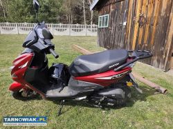 Barton flash - Obrazek 1