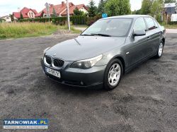 Bmw e60 2.0d 163km 06r - Obrazek 2