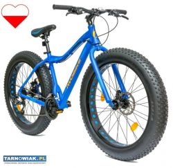 Rowery IwoBike - Polska Marka - Rowery - Obrazek 1