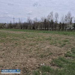 Koszyce Małe duża działka pod zabudowę mieszkaniow - Obrazek 4