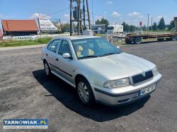 Skoda Octavia 2.0 00r - Obrazek 1