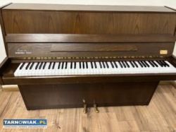 Pianino Futura 2 - Obrazek 1