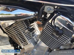 Suzuki intruder 125 - Obrazek 4