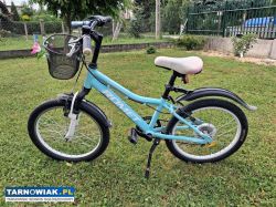 Rower Romet 20 - Obrazek 2
