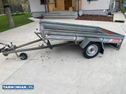 Przyczepka Gisebo 850kg - Obrazek 2