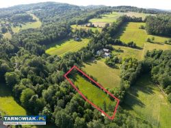 Działka przy lesie - Obrazek 2