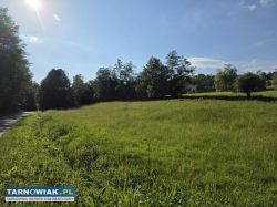 Działka przy lesie - Obrazek 4