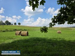 Działka 1,10 ha Jodłowa - Obrazek 3