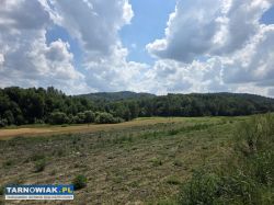 Działka 1,10 ha Jodłowa - Obrazek 4
