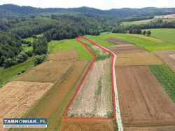 Działka 1,10 ha Jodłowa - Obrazek 2