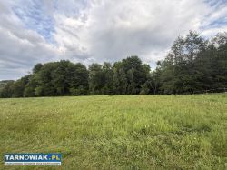 Działka budowlana od 10 do 60 ar | Widokowa | Las - Obrazek 2