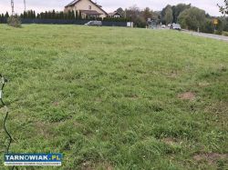 Zabłędza 15,7 ara – zjazd dw977, media, 5860 zł/ar - Obrazek 1