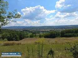 Zabłędza 15,7 ara – zjazd dw977, media, 5860 zł/ar - Obrazek 3