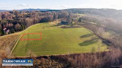 Działka budowlana- Tuchów- ul. Rolnicza - Obrazek 1