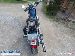 Harley Davidson Sportster 883 - Obrazek 2