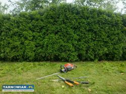 Zakładanie i pielęgnacja ogrodów - Obrazek 4