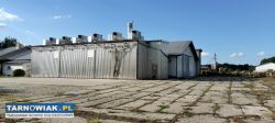 Hala produkcyjno-magazynowa z domem i dużą działką - Obrazek 2